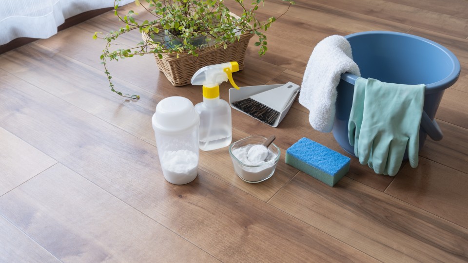 AdobeStock_589699524-960x540